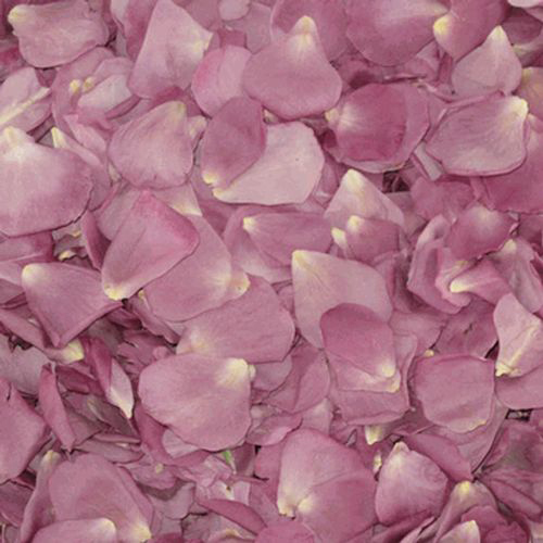 Wholesale Flower Petals Petals for DIY Weddings