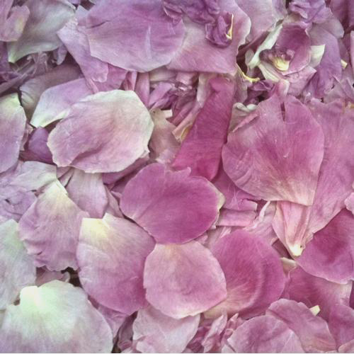 Wholesale Flower Petals Petals for DIY Weddings